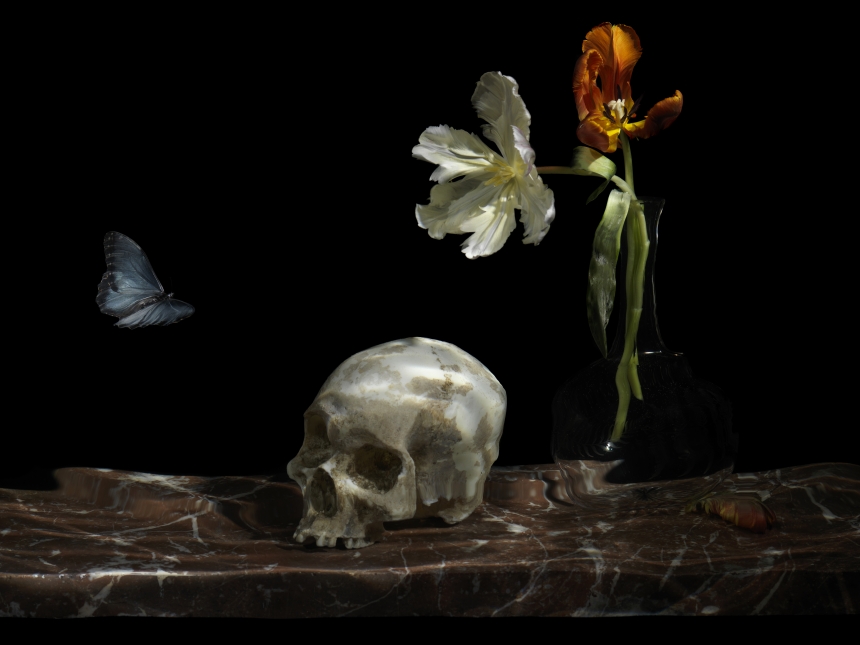 Alexander James, ‘The Great Leveller’, 2010, from ‘Vanitas’,Chromogenic print, mounted to polished aluminium plate, Face mounted with museum grade ar acrylic, 19 x 25 cm