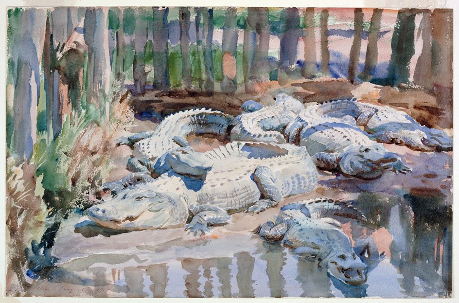 Muddy Alligators, 1917. John Singer Sargent, American (active London, Florence, and Paris), 1856-1925. Watercolor over graphite, with masking out and scraping, on wove paper, Sheet: 13 9/16 × 20 7/8 inches. Worcester Art Museum, Sustaining Membership Fund.