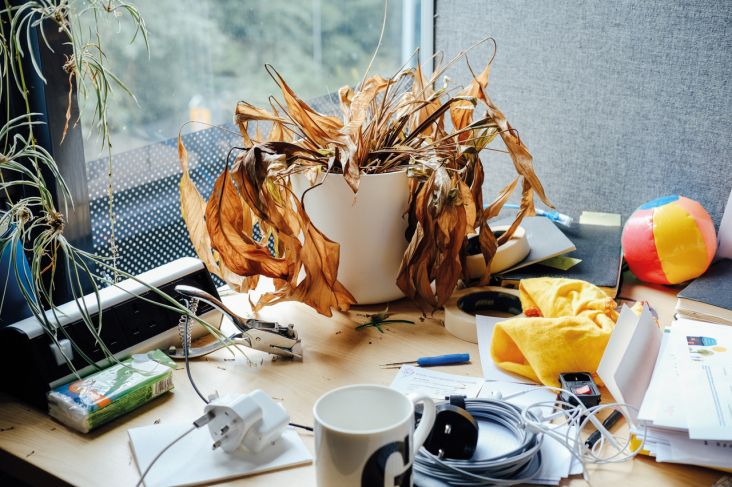 All images courtesy and copyright of Ricky Adam