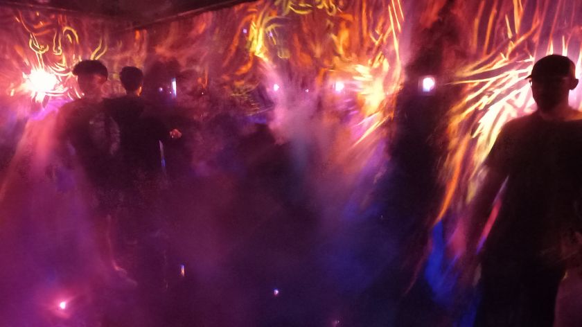 Tokyo's teamLab Borderless is the future of art shows, and it's coming to Europe