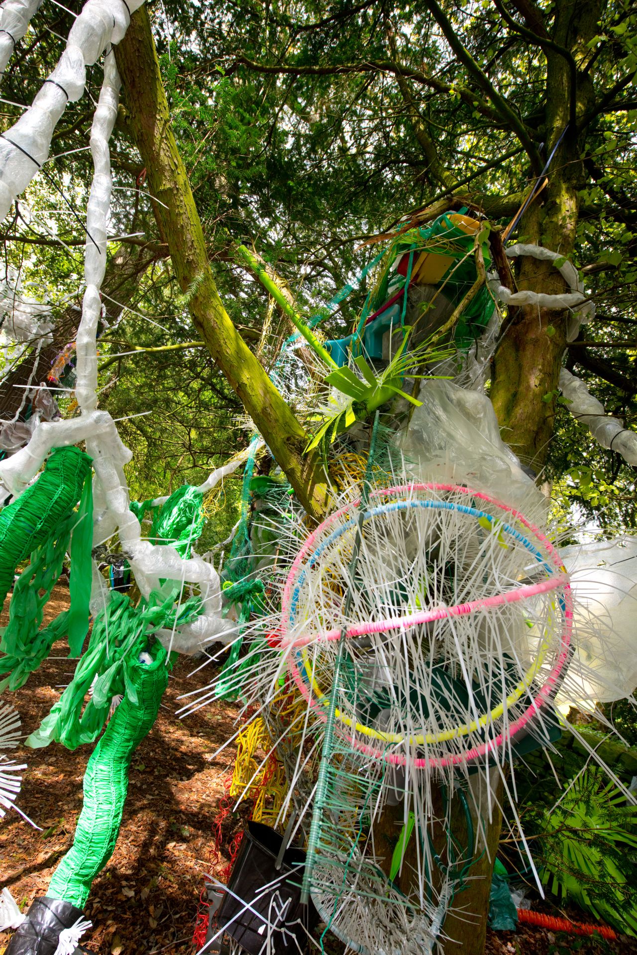 All photography courtesy of Cheeseburn