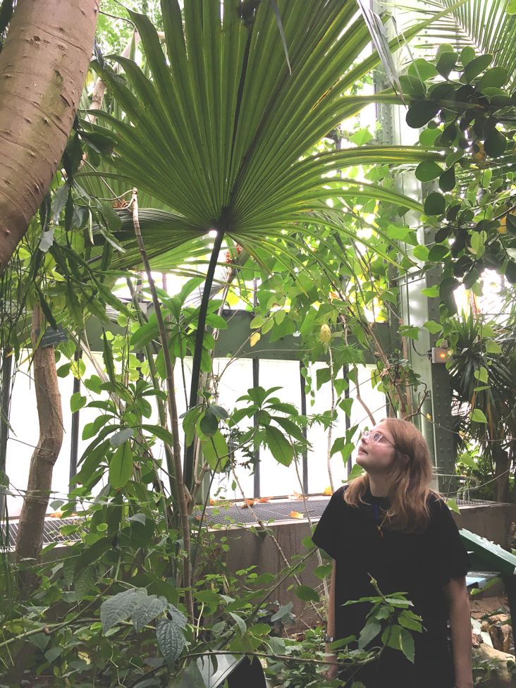 All images courtesy of Lizzy Rose