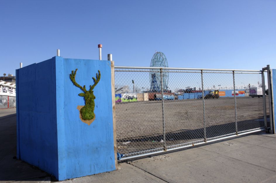 Credit: Edina Tokodi