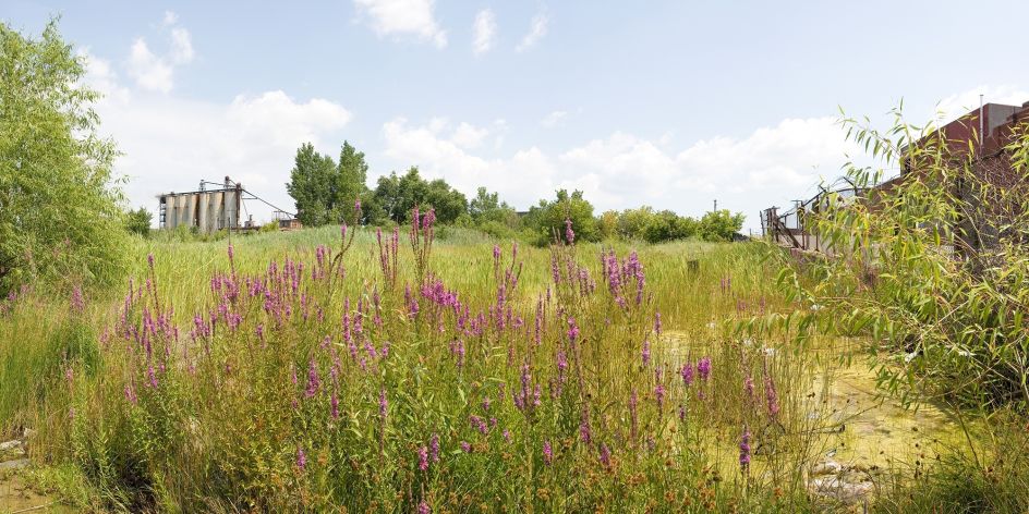 Prairie and former Koenig Coal Yard Silos, 2007. Courtesy of Corine Vermeulen