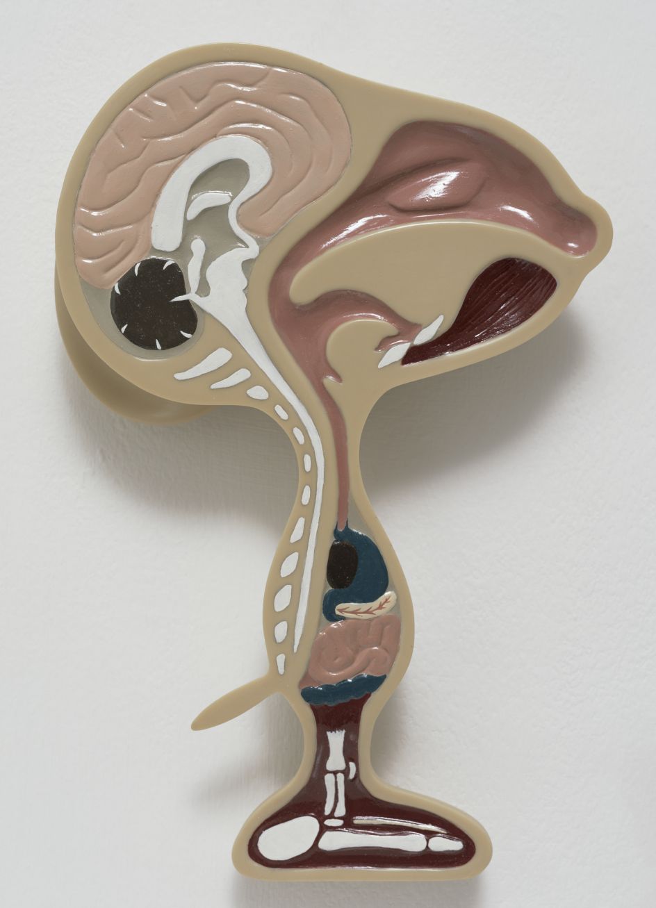 David Musgrave, Animal, 1998. Photo Marcus Leith. Courtesy greengrassi London