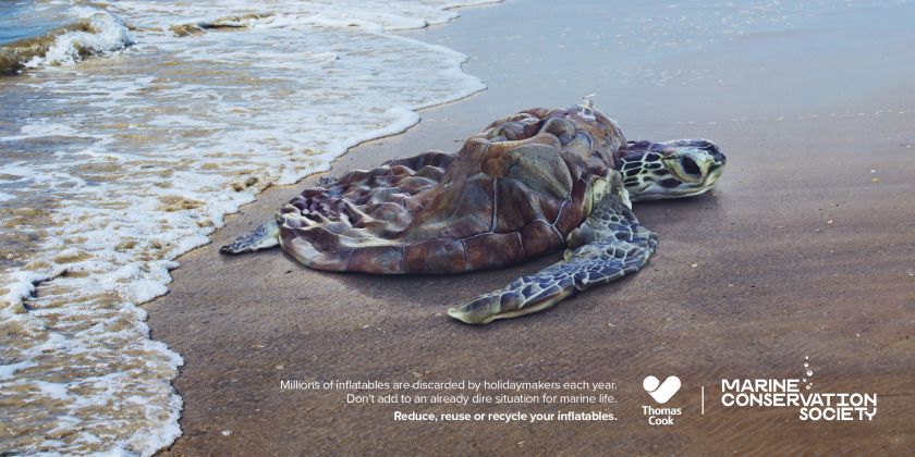 McCann deflates a dolphin to stop people abandoning their inflatables