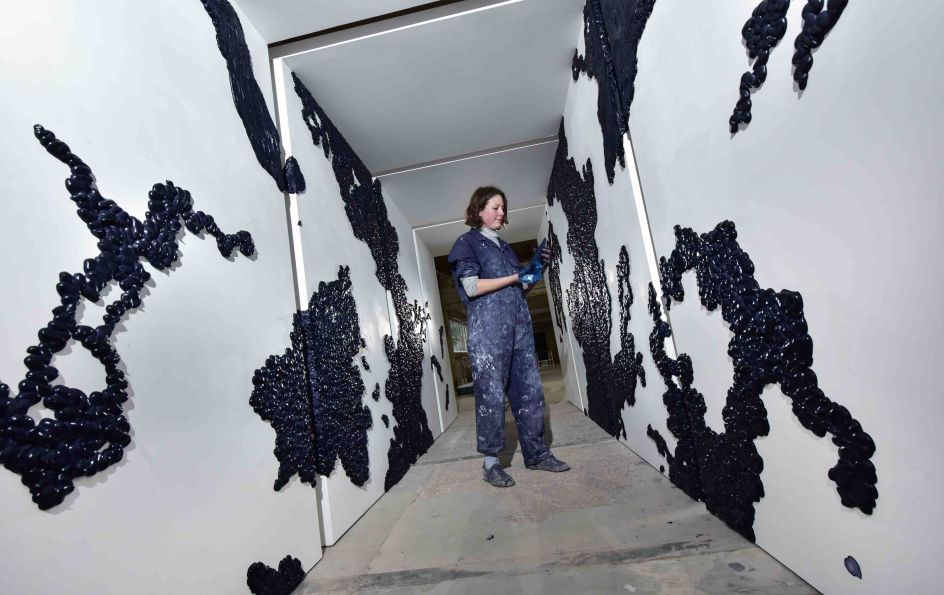 Alex Simpson, Through Viscera, 2017, photo Joel Fildes