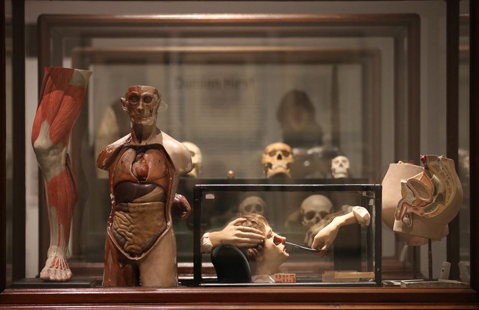 Magnificent Obsessions: The Artist as Collector, Damien Hirst’s collection. Photograph by Peter McDiarmid