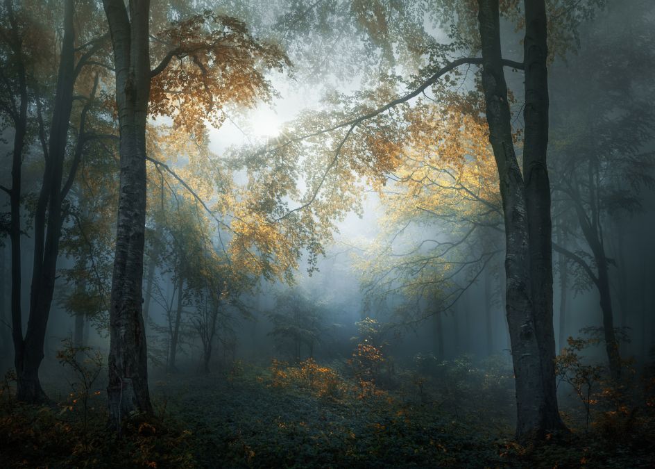 Copyright: © Veselin Atanasov, Bulgaria, Open Photographer of the Year, Open, Landscape & Nature (2018 Open competition), 2018 Sony World Photography Awards