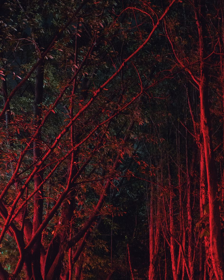 © Christopher Anderson + Magnum, published by Stanley Barker