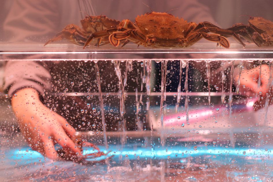 © Thomas Bertie Taylor