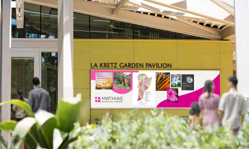 Native California flower informs UCLA Mathias Botanical Garden identity