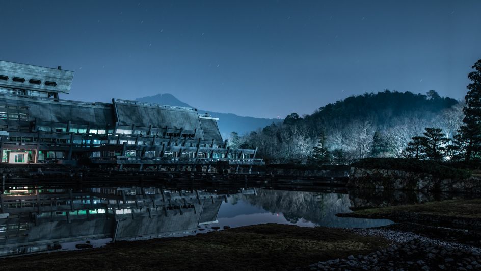 The Forest © Tom Blachford