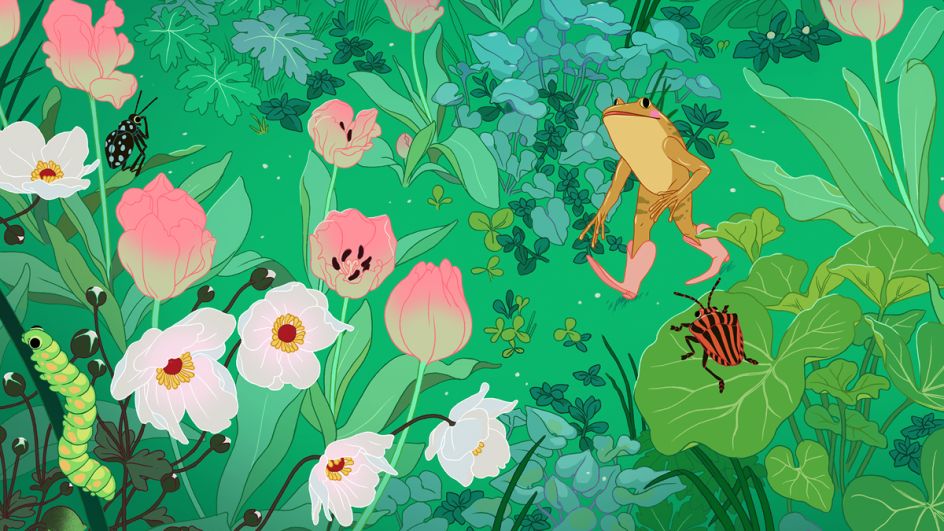 Guest designers such as Eero Lampinen have crafted their own visionary designs to inspire yours