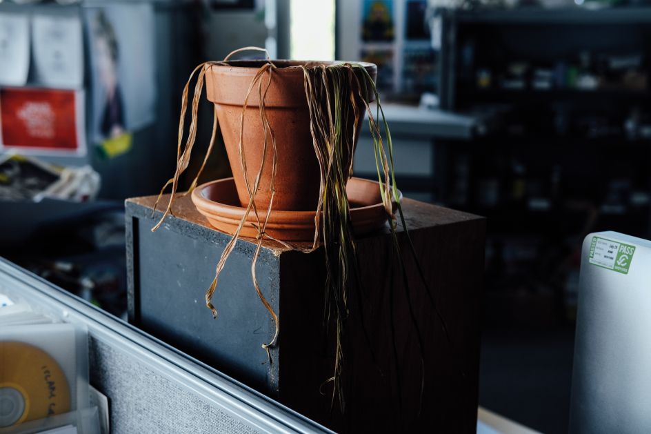 © Ricky Adam, from the series and zine, Don't You Forget About Me