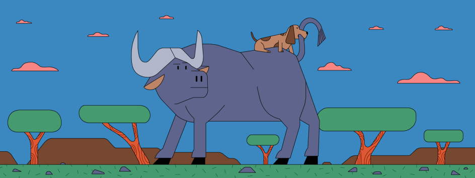 Why your dog can – and should – go vegan, illustration for Pentagram's Do the Green Thing. Art directed by Ailbhe Larkin.