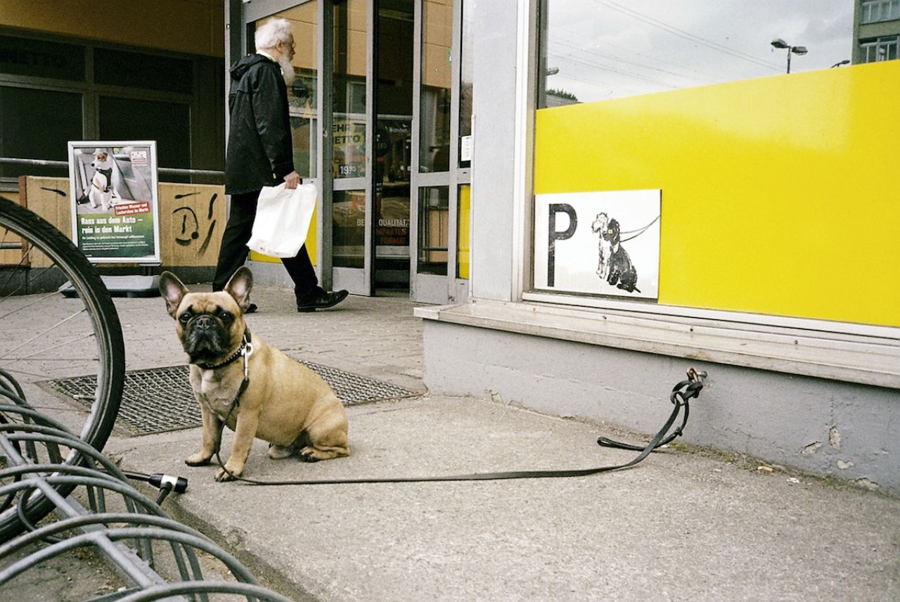 Wedding 7 JPG-Format (4.403 KB) 2500 x 1673 Pixel © Ama Split and Riky Kiwy