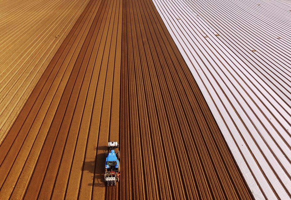 'Sowing' Jackie / Photocrowd.com