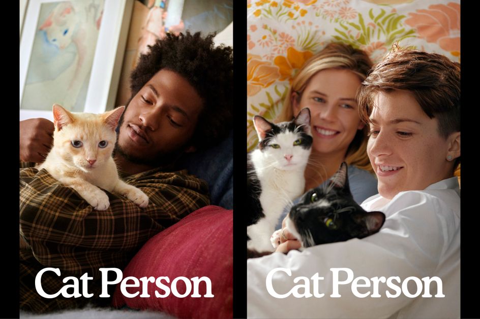 Brand photography celebrating the bond between cats and their person, photographed by David Robert Elliott
