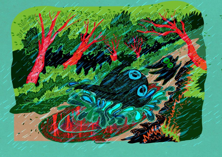 Puddle Jumpers by Jae Kwak - New Talent winner in Book Covers