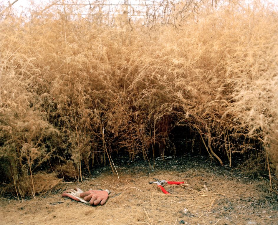 Polytunnel, 2019. Copyright: © Marco Kesseler, United Kingdom, Shortlist, Professional, Landscape (Professional competition), 2019 Sony World Photography Awards
