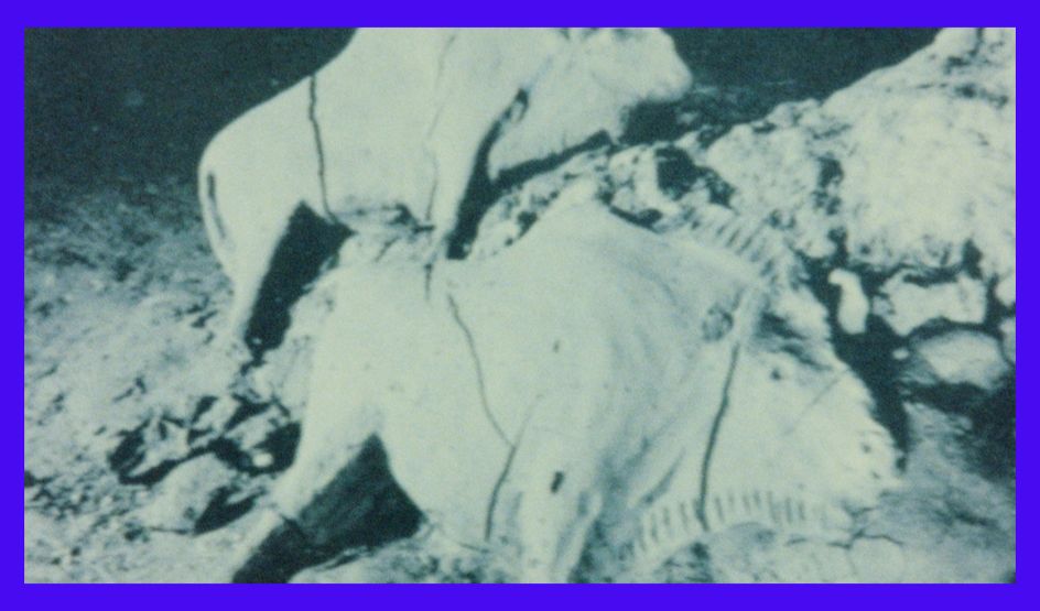 Benedict Drew, Incantation to rid this place of cars, without the help of Elon Musk, HD video still, 2017  © the artist, courtesy Tintype