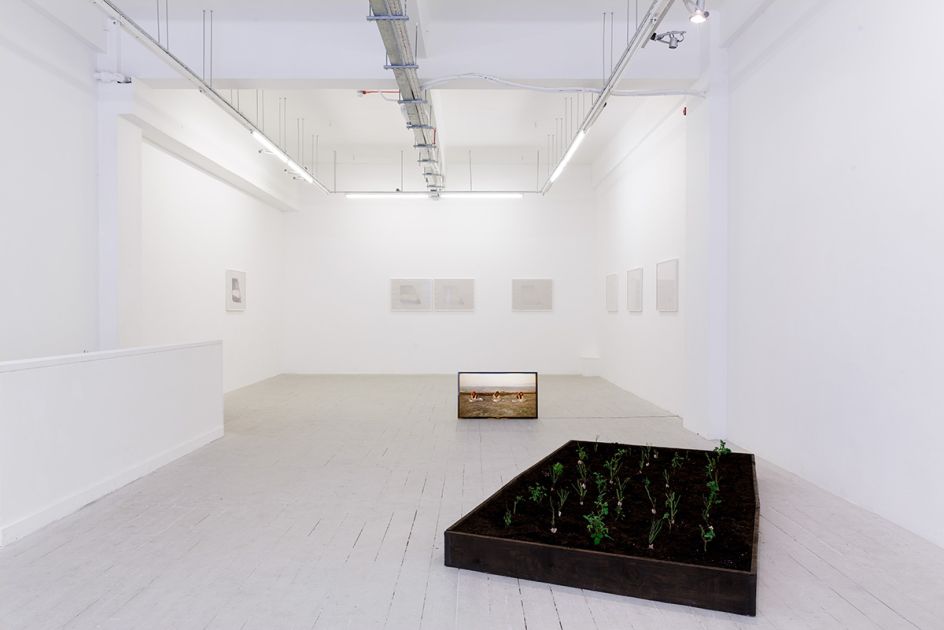 Installation view, Pi Artworks London, 2017