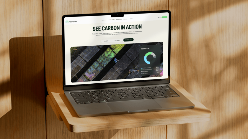 How&How Studio rebrand of Pachama helps shake up the carbon capture industry