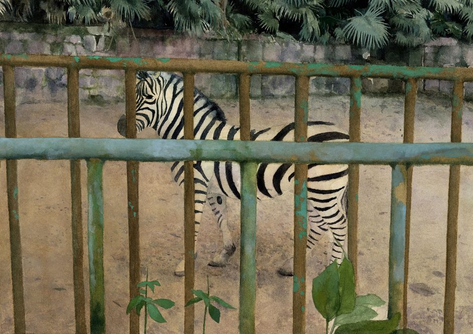 A desolate zoo is passed by on the way home