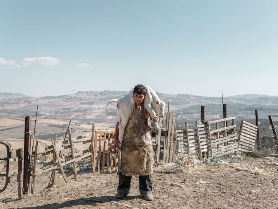 Copyright: © Roselena Ramistella, Italy, 1st Place, Professional, Natural World & Wildlife (2018 Professional competition), 2018 Sony World Photography Awards