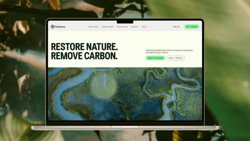 How&How Studio rebrand of Pachama helps shake up the carbon capture industry