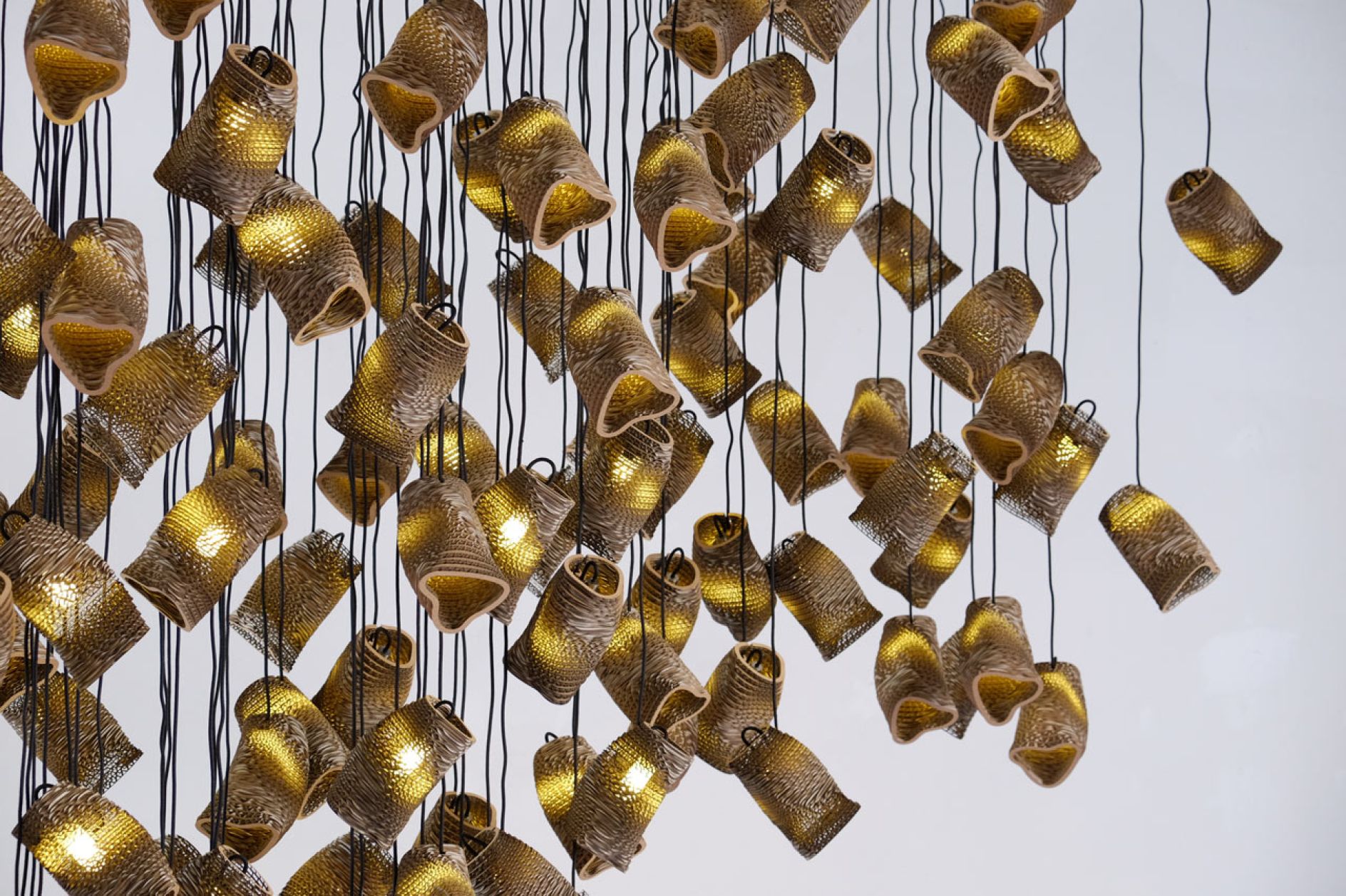 Murmurations: Artists pay homage to flocking birds with cardboard light ...