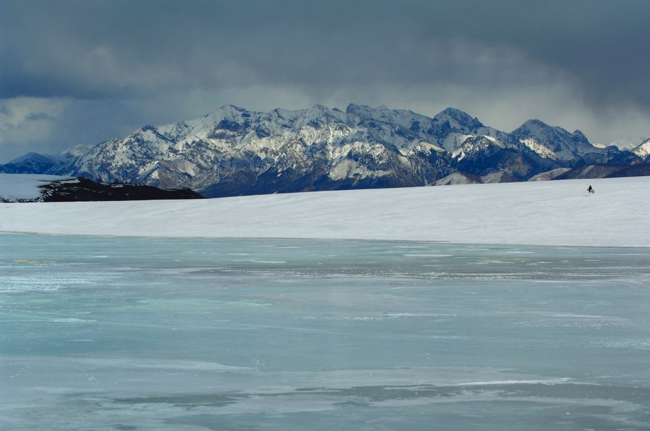 In Search of the Wolf, Mongolia, 2007 © Marc Progin. Courtesy of Blue Lotus Gallery