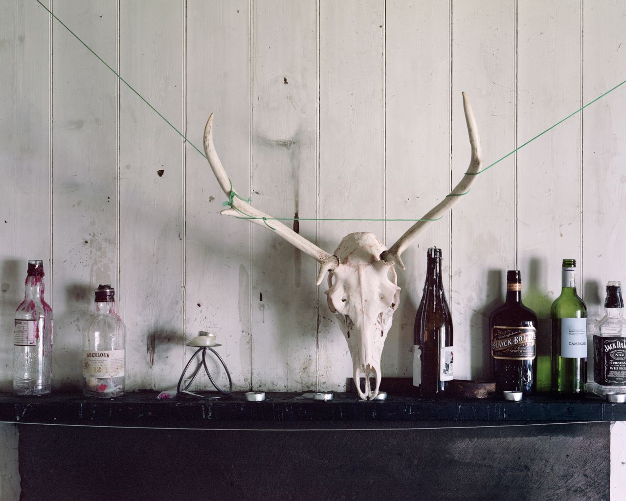 All images courtesy of Nicholas White