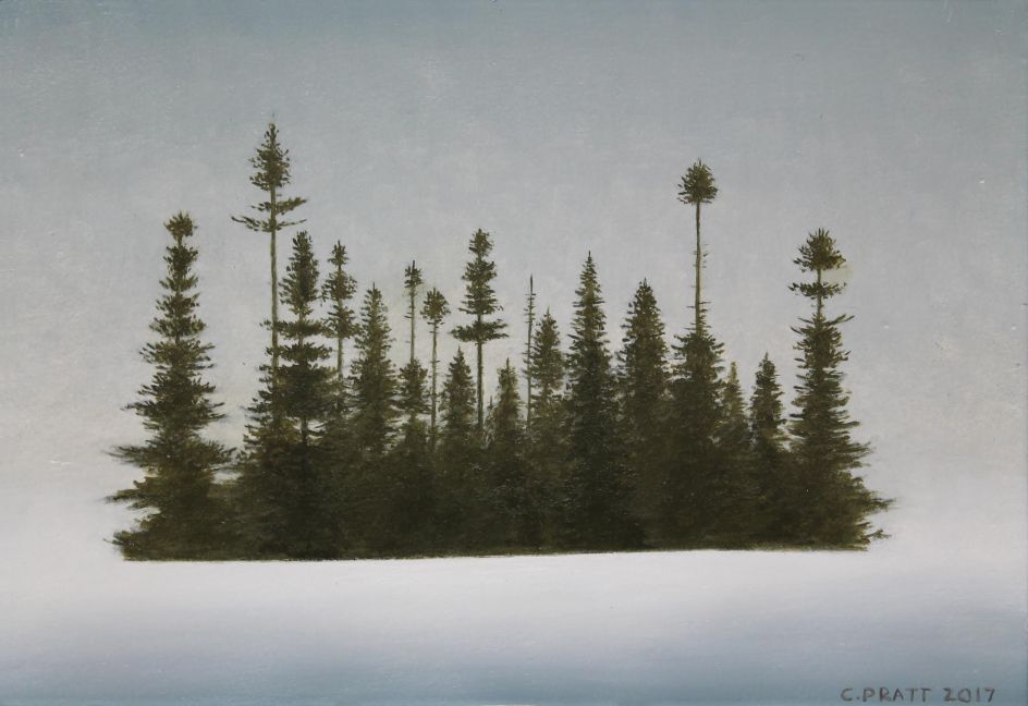 Black Spruce at Barb's, 2017 | Christopher Pratt