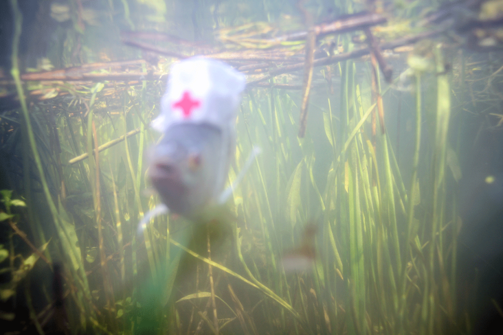 All images courtesy of Andrew Munks