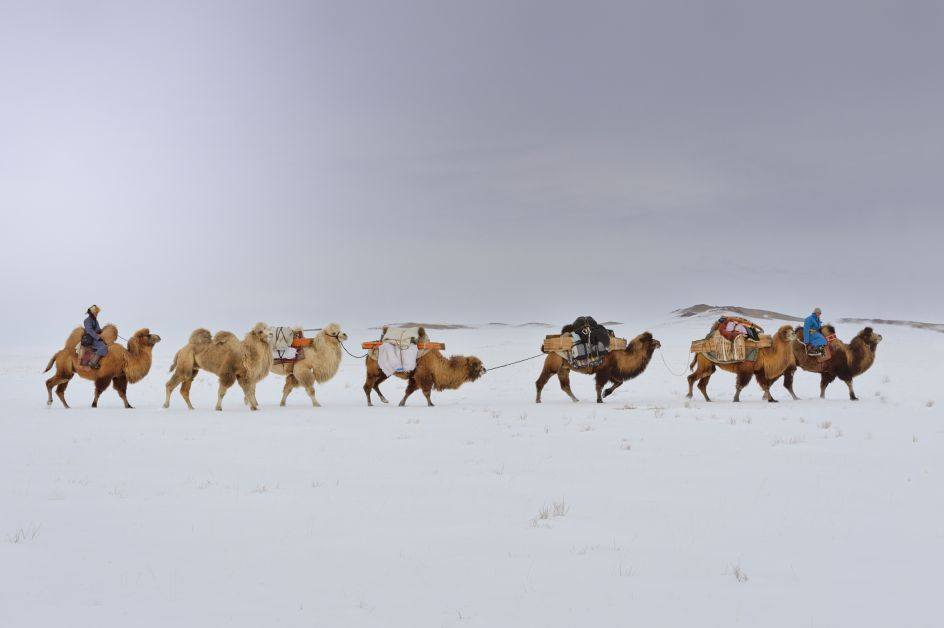 The Journey Back to Nature, Mongolia, 2014 © Marc Progin. Courtesy of Blue Lotus Gallery