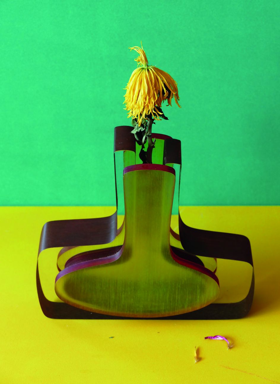 Pedro Almadovar, Menina, 2019