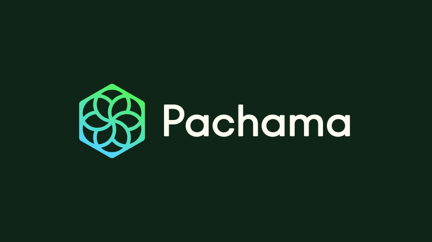 How&How Studio rebrand of Pachama helps shake up the carbon capture industry