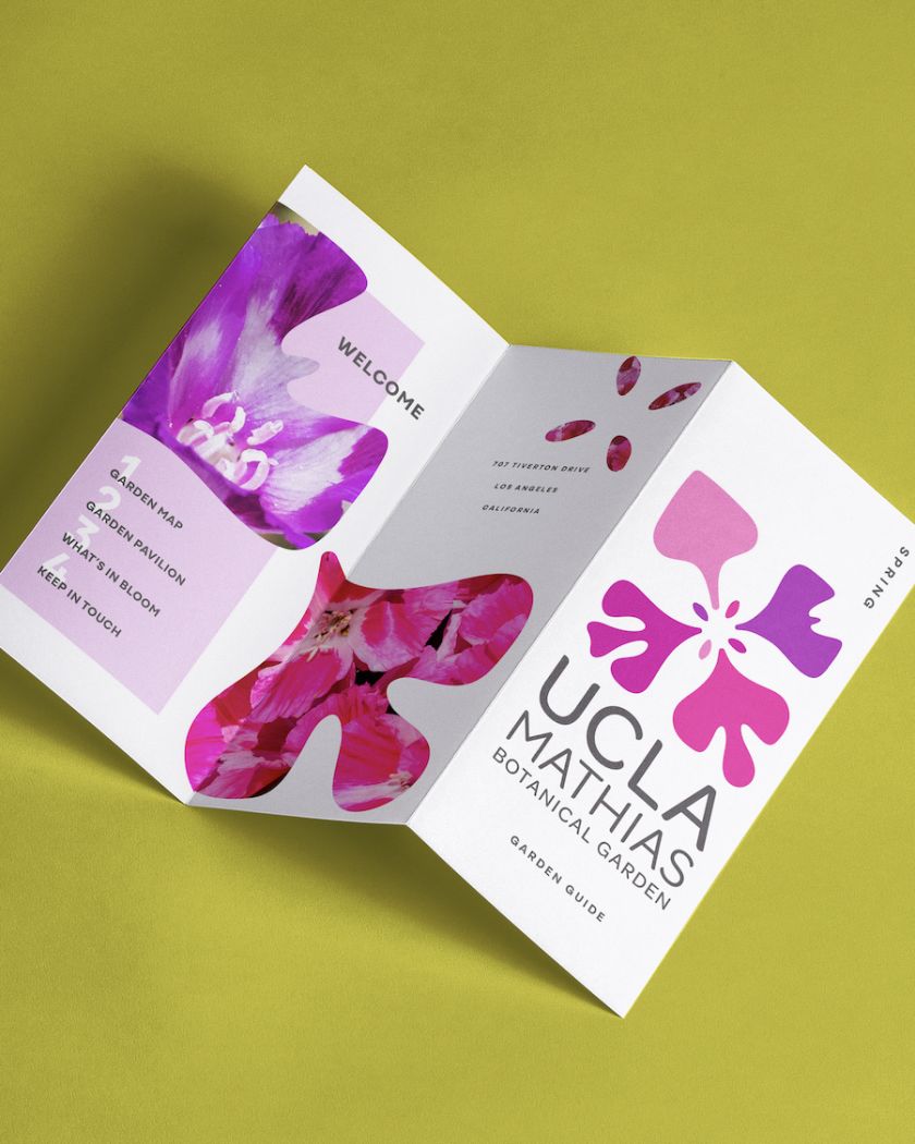 Native California flower informs UCLA Mathias Botanical Garden identity