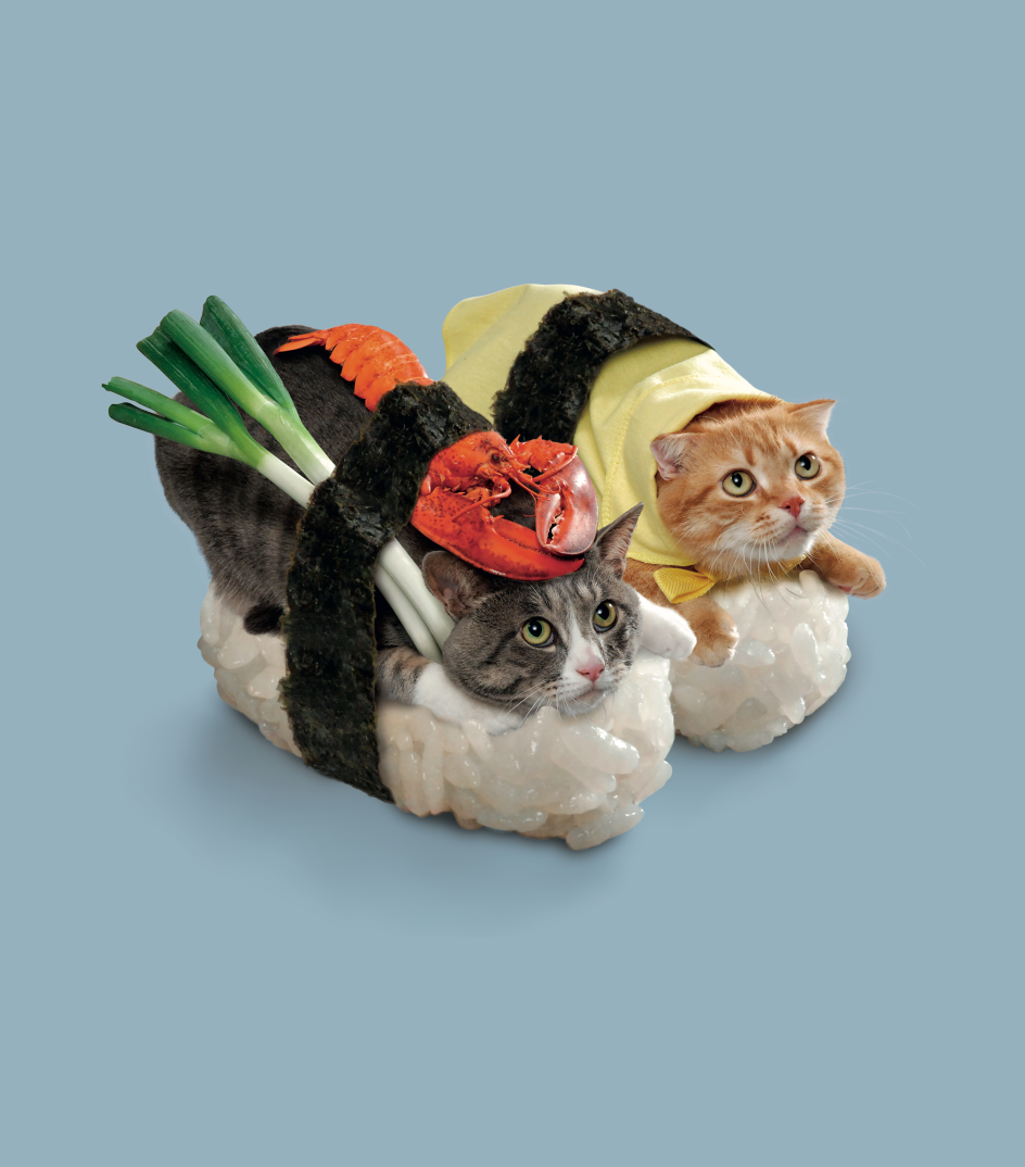 Photograph by Tange and Nakimushi Peanuts