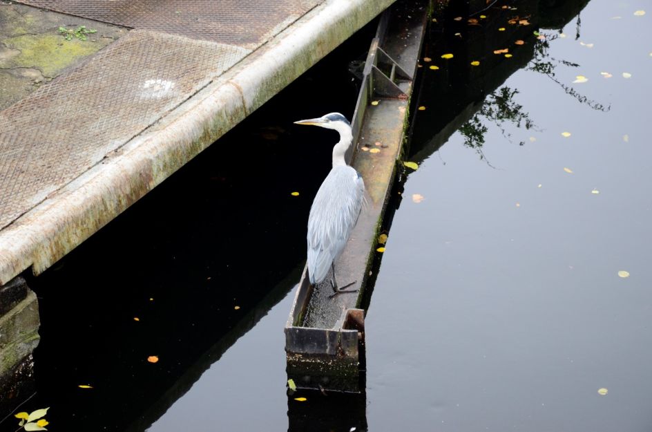 Alexis Vasilikos, Balancing Act, courtesy of CAN Christina Androulidaki Gallery