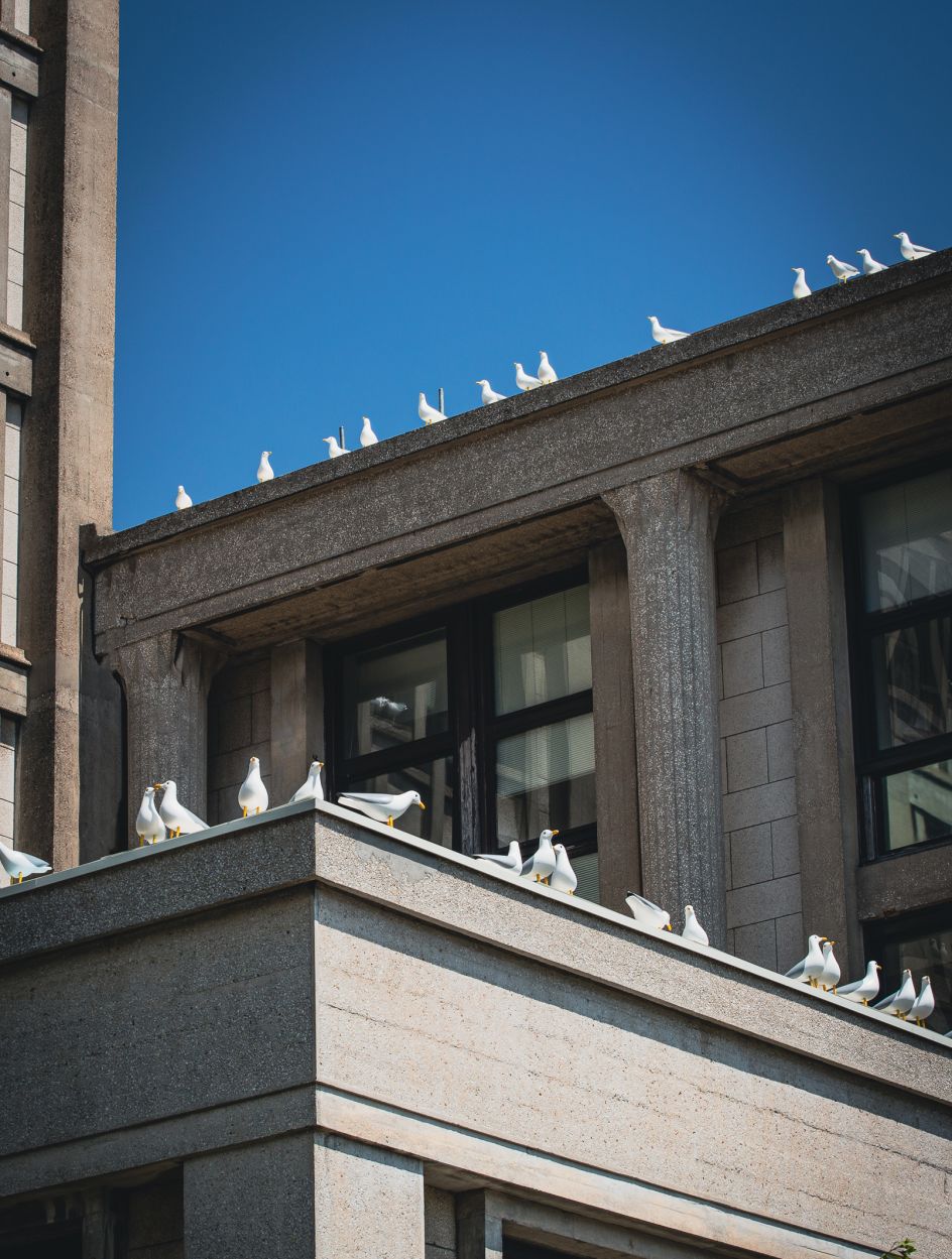 Sense of Belonging © Patrick Murhpy. Photography by Arnaud Tinel