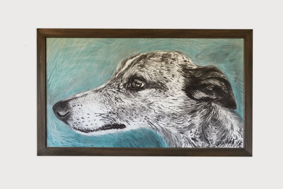 Pedro Head, 98 X 166cm, photo by Tania Dolvers, courtesy of Hignell Gallery