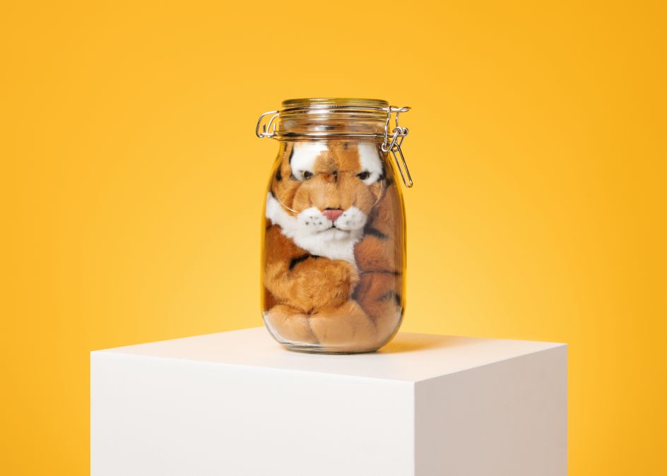 Save The Tiger campaign for WWF © Studio Mals