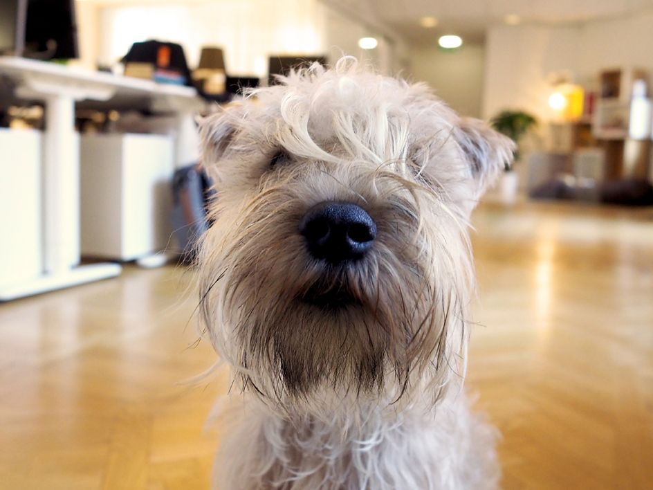 Porthos at Thinkable