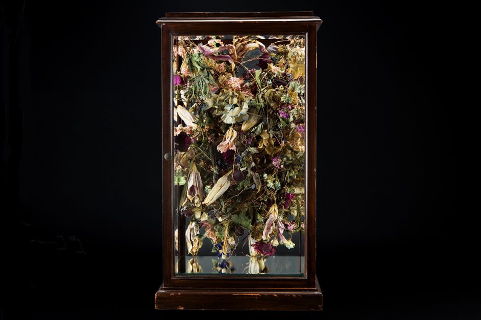 © Rebecca Louise Law