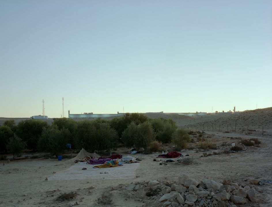 Jeff Wall Daybreak (on an olive farm/Negev Desert/Israel) 2011  © Jeff Wall. Courtesy of White Cube