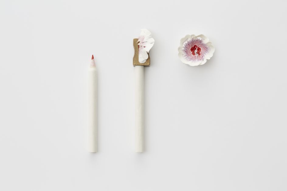 Paper Flower by MISAWA Haruka. Photography by Amana Group