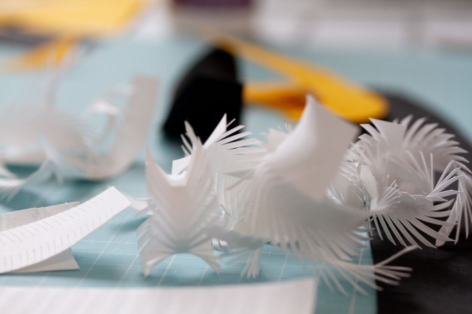 Photography by Moose Azim